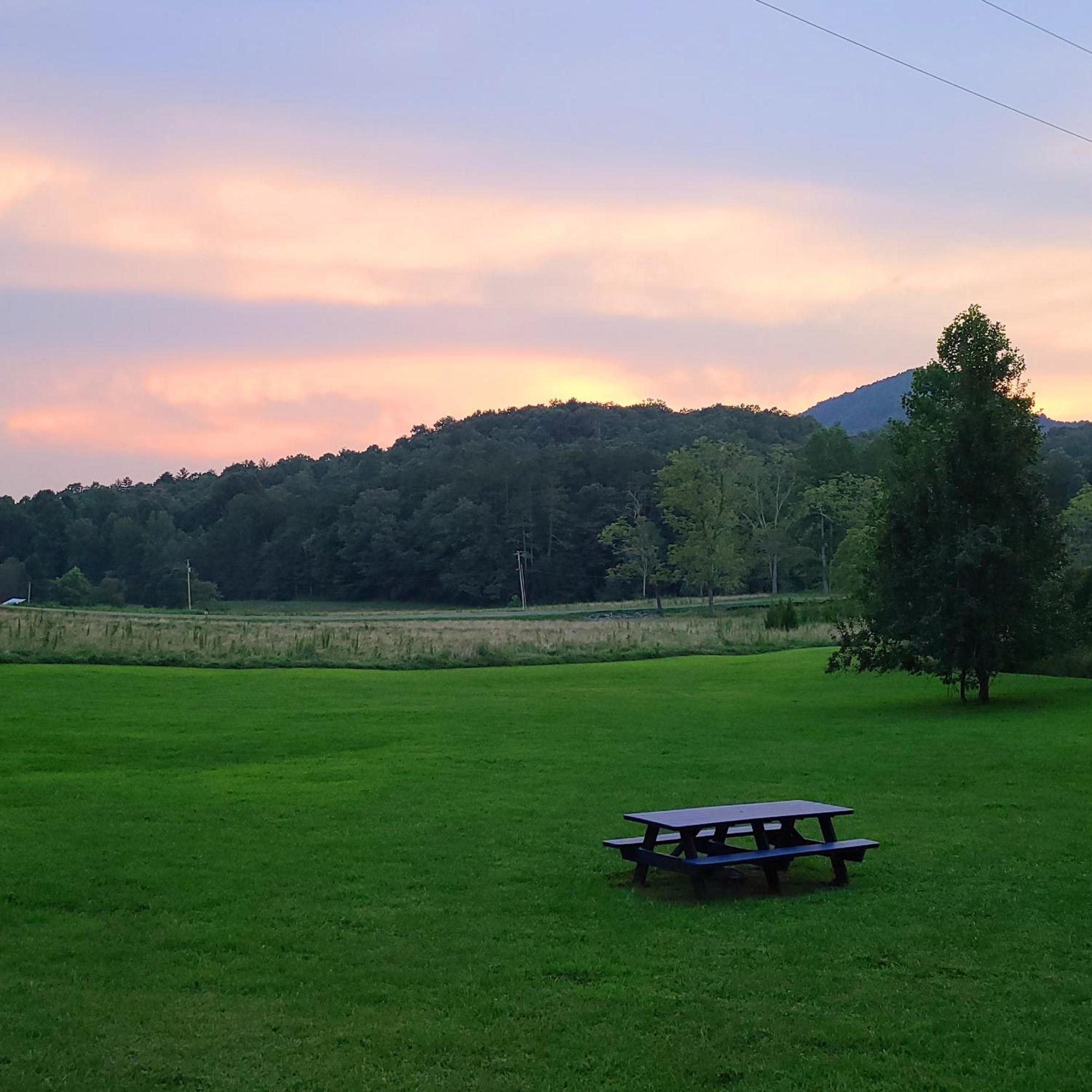 Cozy Cottage With Full View Of The Mountains! Blue Ridge Esterno foto