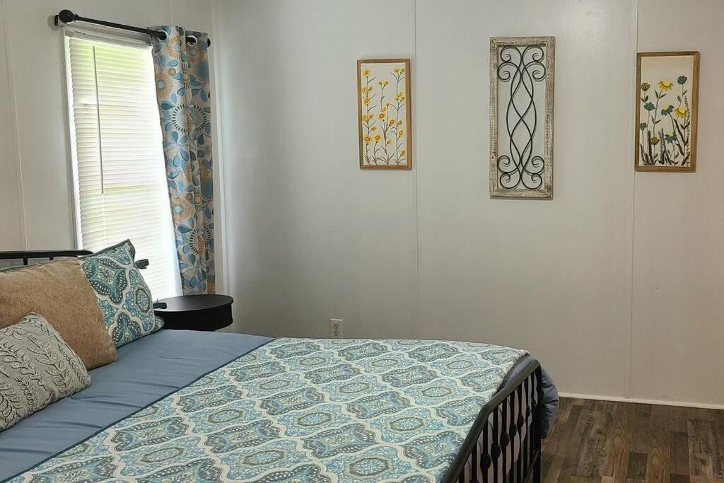 Cozy Cottage With Full View Of The Mountains! Blue Ridge Esterno foto